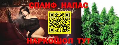 МДПВ Нальчик