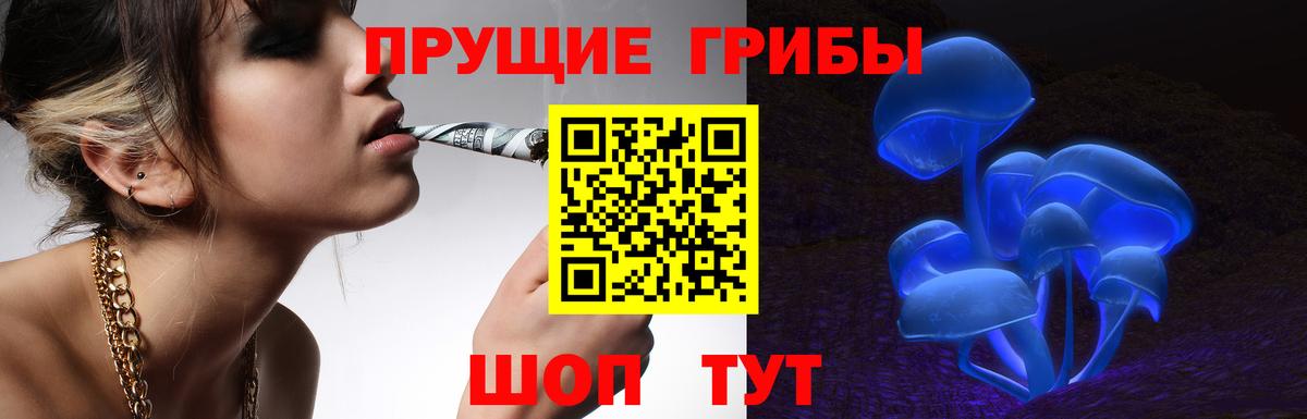 Галлюциногенные грибы Cubensis  Вход с VPN  Троицк 